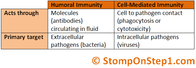 Humoral and cell mediated immunity   yousearch.io
